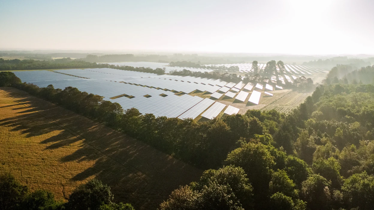 Tanskalainen Better Energy on rakentanut Pohjois-Eurooppaan yli 1 600 megawatin edestä aurinkoenergiaa, mikä vastaa Olkiluoto 3:n sähkötehoa. Kuva on tanskalaisesta aurinkopuistosta.