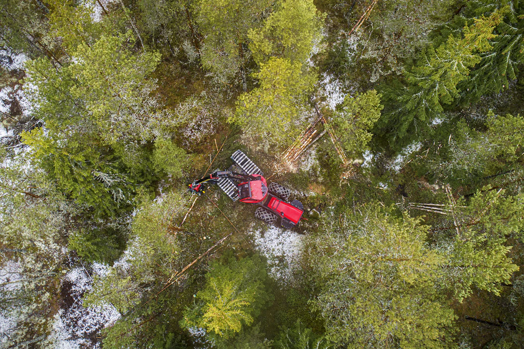 Suomen metsäteollisuus tarvitsee kotimaista harvennuspuuta korvaamaan Venäjän tuontia.