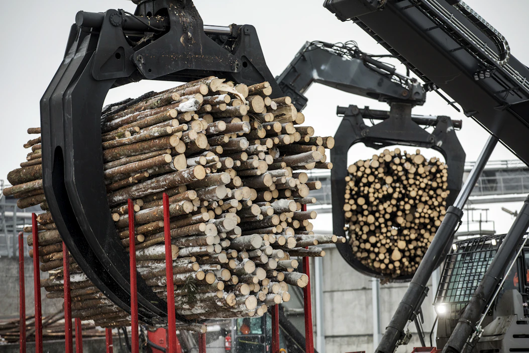 Metsäteollisuuden jalostama puumäärä kasvoi viime vuonna kahdeksan prosenttia edellisvuodesta.