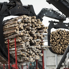 Metsäteollisuuden jalostama puumäärä kasvoi viime vuonna kahdeksan prosenttia edellisvuodesta.