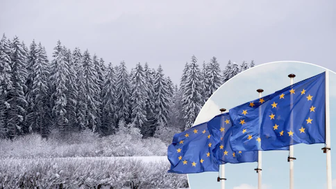 Euroopan parlamentin vaalit järjestetään 6.–9. kesäkuuta 2024. Vaalien tulos määrittää pitkälti myös tulevien vuosien metsäpolitiikkaa.