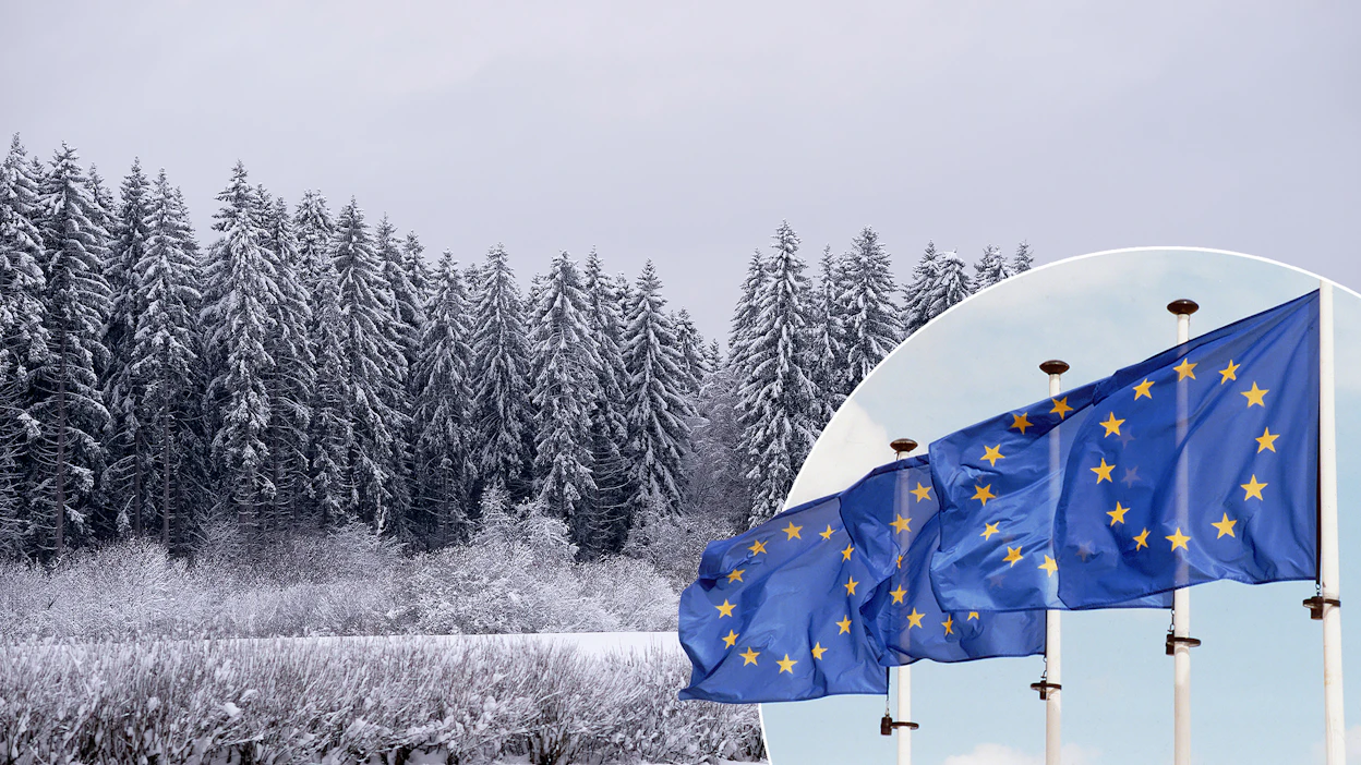 Euroopan parlamentin vaalit järjestetään 6.–9. kesäkuuta 2024. Vaalien tulos määrittää pitkälti myös tulevien vuosien metsäpolitiikkaa.