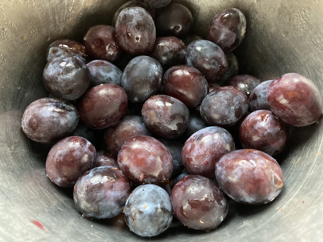 Kriikunan pintaa peittää ohut, hienoinen hedelmänukka.