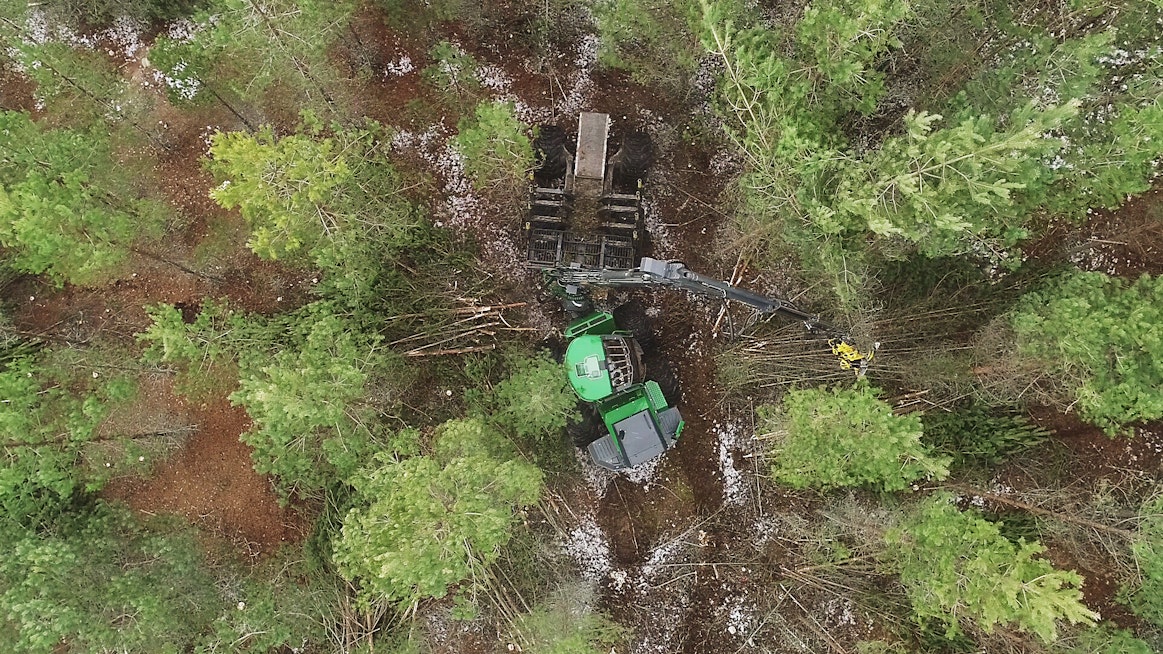 Käytännössä avohakkuiden vältteleminen monipuolistaa metsärakenteita, koska menetelmäkirjo käsittää paljon muutakin kuin poimintahakkuut.