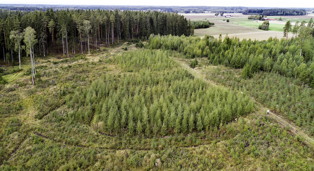 Tilastointi kattaa vapaaehtoisesti metsissä toteutetut biologiset hiilensidontatoimenpiteet Suomessa.