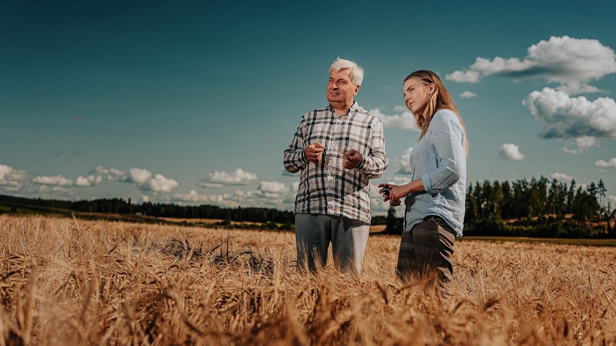 Koffin Jouluoluen mallasohra tulee Hauholta.