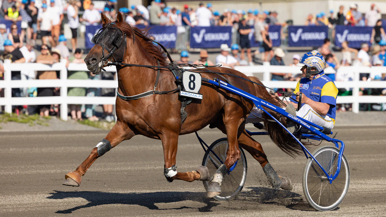 Lumettaja on startannut 98 kertaa totosijoin 17-17-16. Rahaa hevonen on tienannut 135 810 euroa.