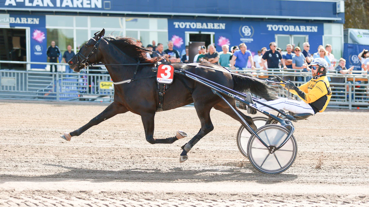 Magnus A Djusen ohjastama Fine Manners otti ylivoimaisen voiton Elitloppet-perjantaina.