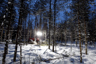 Routa-ajan lyheneminen haastaa jo nyt puunkorjuuta, miten sitten tulevaisuudessa, kun talvet entisestään leutonevat.