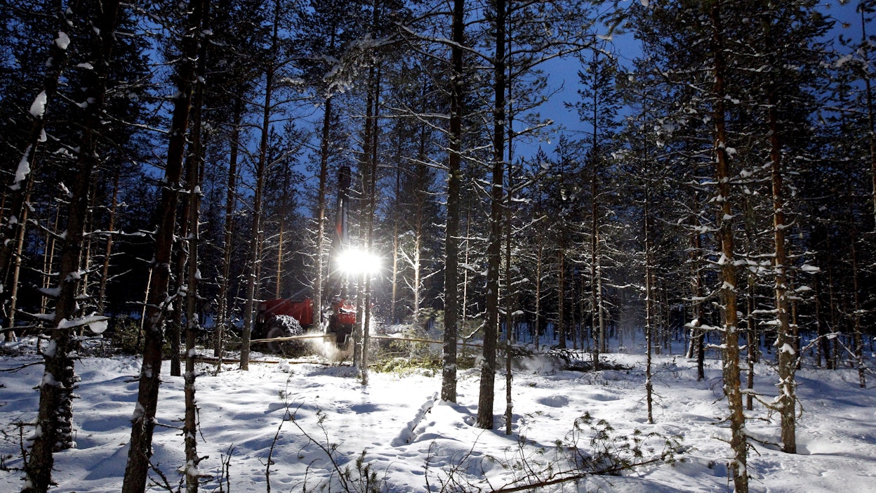 Routa-ajan lyheneminen haastaa jo nyt puunkorjuuta, miten sitten tulevaisuudessa, kun talvet entisestään leutonevat.