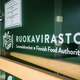 Ruokaviraston henkilöstöresurssi on Timo Kauniston mukaan jo nyt niin tiukka, että tukimaksatuksissa on vaikeuksia.