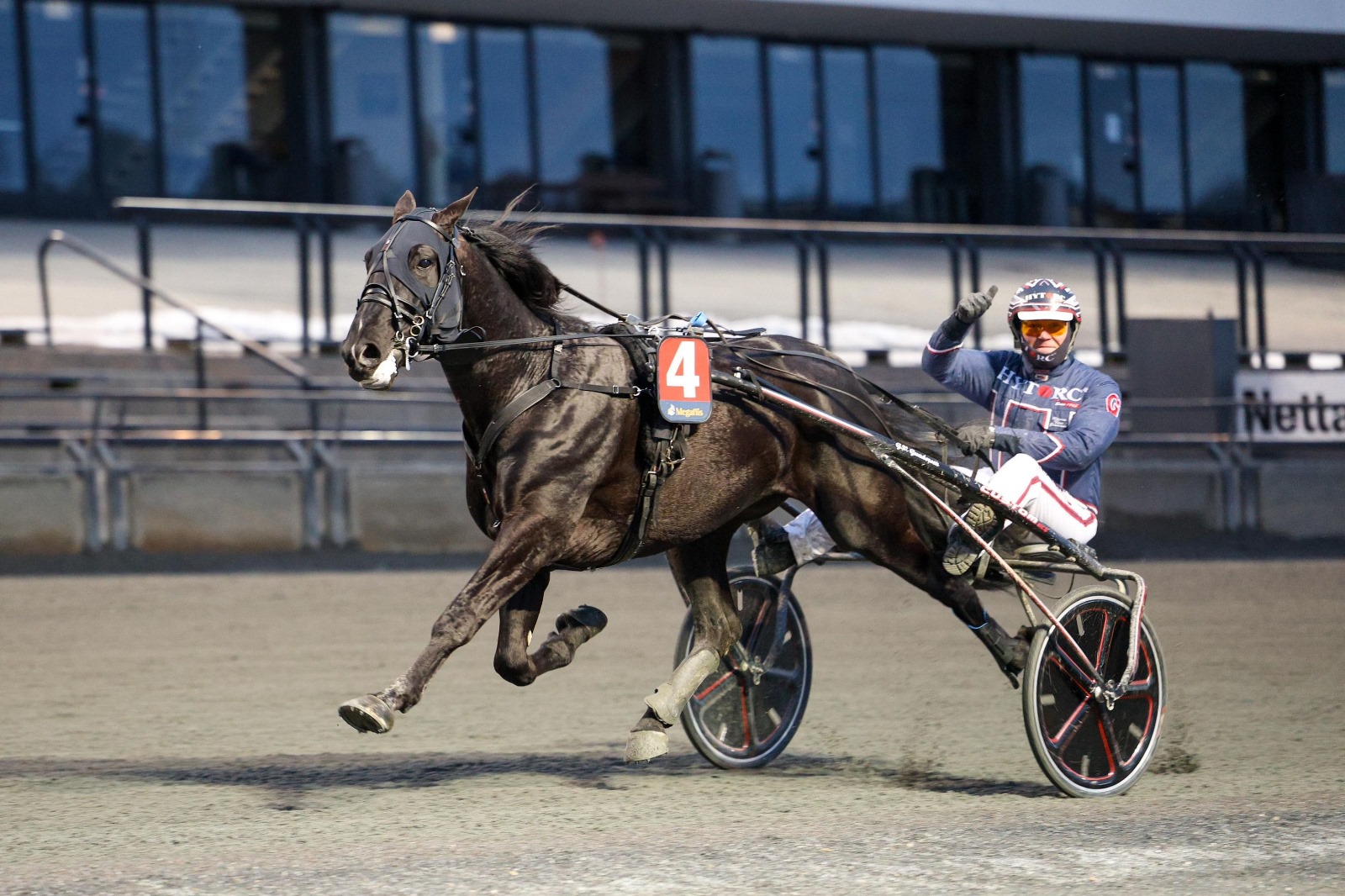 Tappioton norjalaishevonen muutti Pihtiputaalle Antti Ojanperän talliin. 