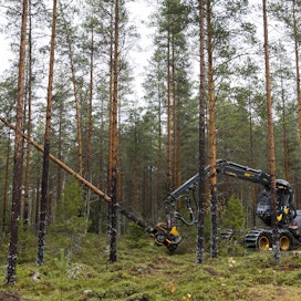 Puun tuonnin loputtua Venäjältä Stora Enso lisää puunhankintaa kotimaassa.