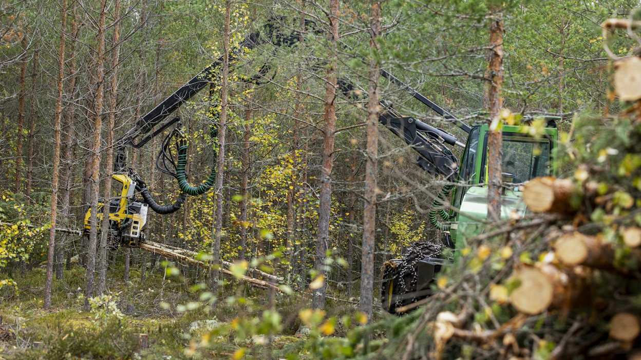 Timo Seppänen työskentelee metsäkoneyrittäjänä ja on osakkaana kuolinpesässä, joka myi kesällä pienehkön, alle 10 hehtaarin metsätilan Kouvolassa.