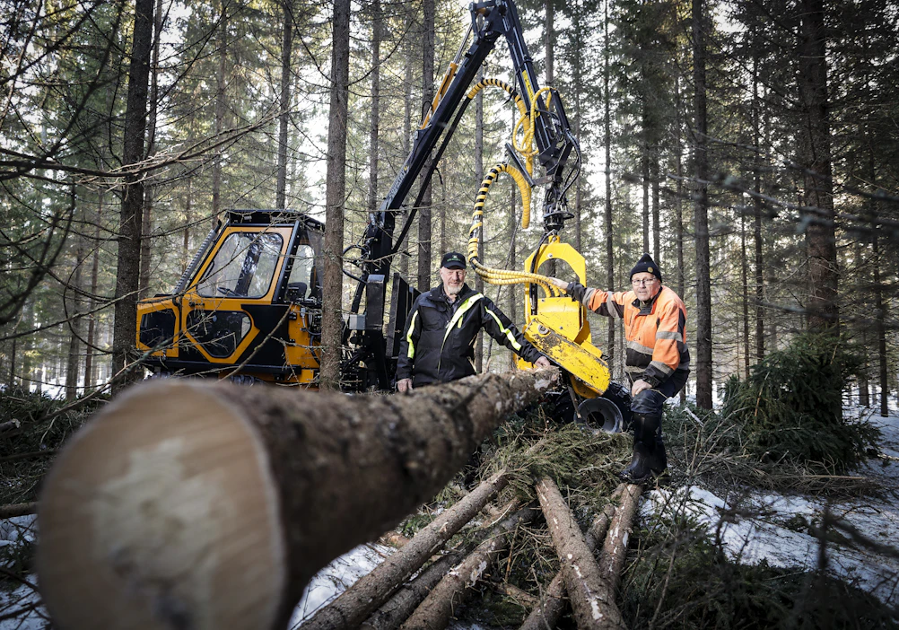 Pertti Säämänen (kuvassa vasemmalla) Metsä-Säämänen Oy:stä suoritti Kinetic K-437 pienmetsäkoneella harvennusta Jarmo Tyrväisen metsässä Synsiö-järven Orastensaaressa Kangasniemellä.