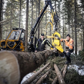 Pertti Säämänen (kuvassa vasemmalla) Metsä-Säämänen Oy:stä suoritti Kinetic K-437 pienmetsäkoneella harvennusta Jarmo Tyrväisen metsässä Synsiö-järven Orastensaaressa Kangasniemellä.