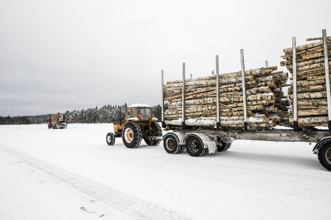 Isoilla vesistöillä saarihakkuita on siirretty nykyään yhä enemmän talvista kesäaikoihin, sillä jääteiden tekeminen on vaikeutunut. Kuva on Viitasaarelta.