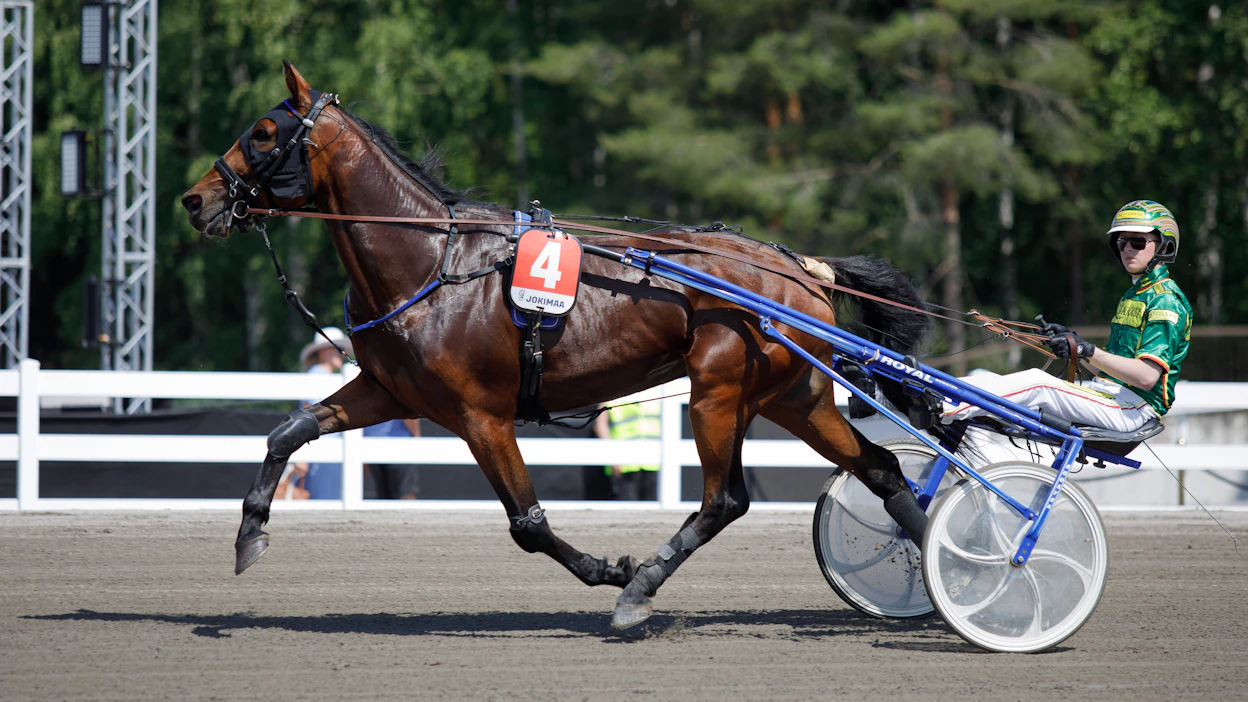 Jyrki Sojakan omistama Speedy Scion on voittanut urallaan peräti 11 kertaa. Kuvassa ruuna valmistautuu starttiin Jukka Torvisen ohjastamana Suur-Hollola-sunnuntaina.