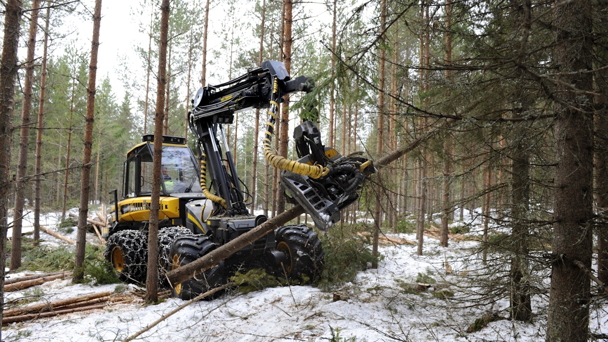 Harvennushakkuu käynnissä. Kuvituskuva.