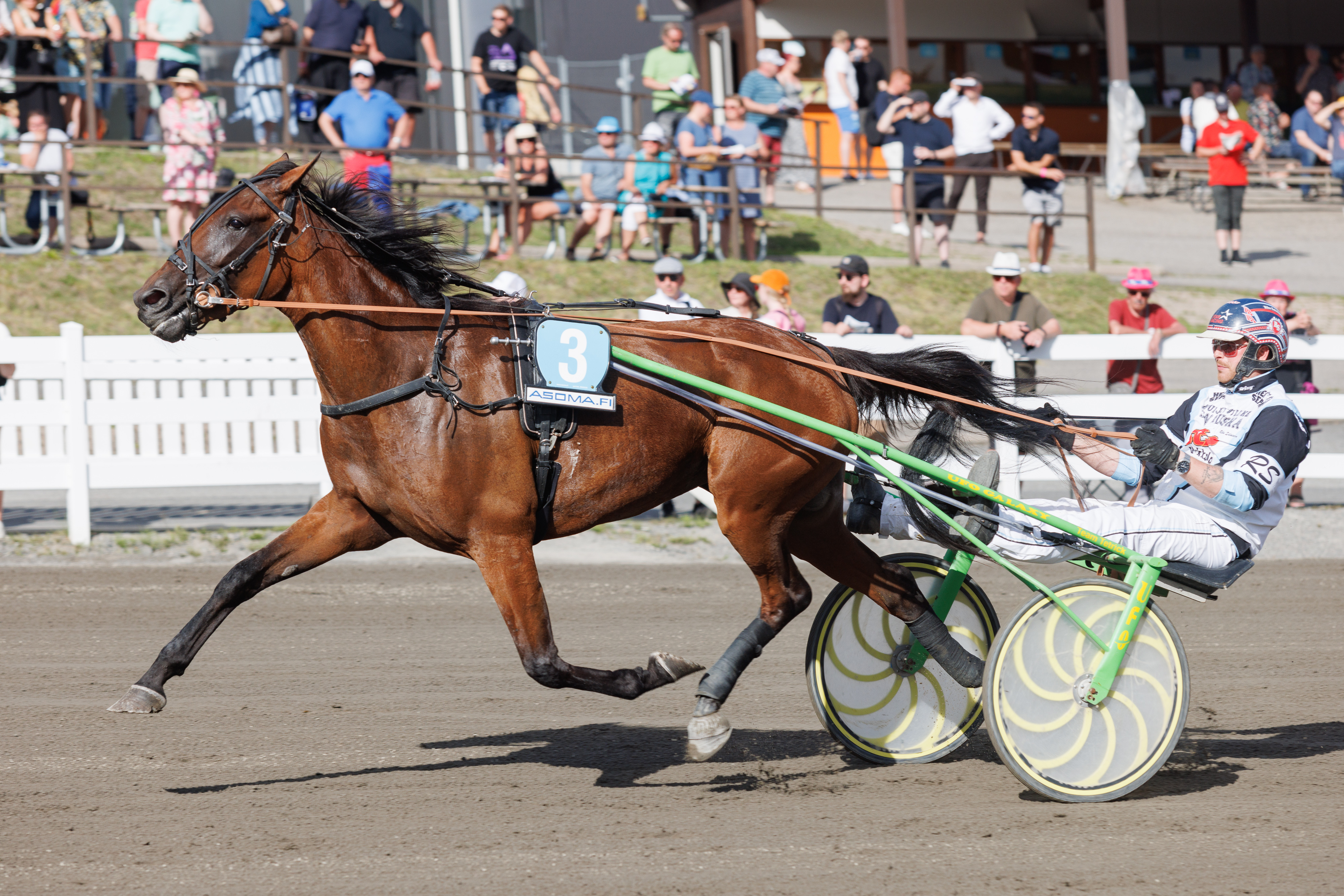 Regress W.F. ja Riku Salminen kannattelevat vihjeriviä.