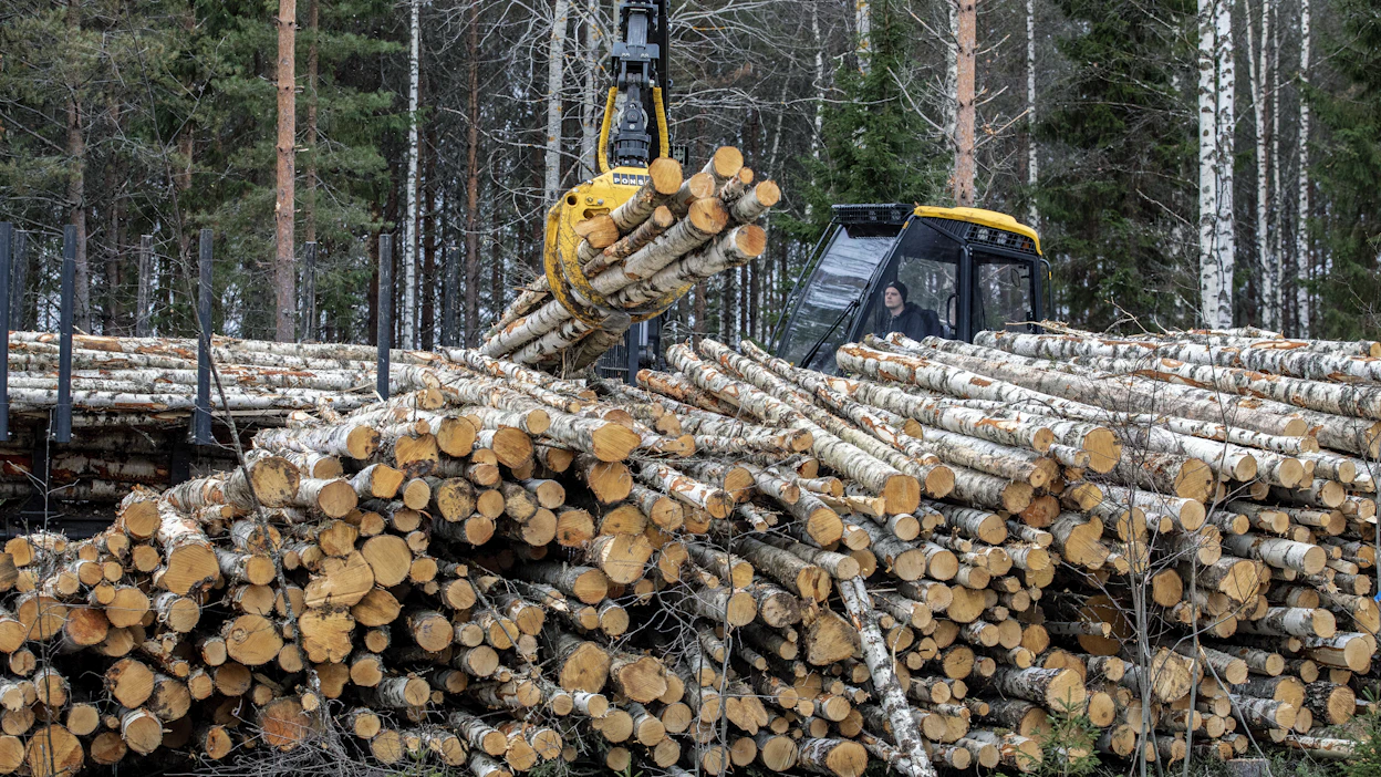 Koivukuitupuun hinta on noussut puutavaralajeista suhteellisesti eniten vuoden alusta.