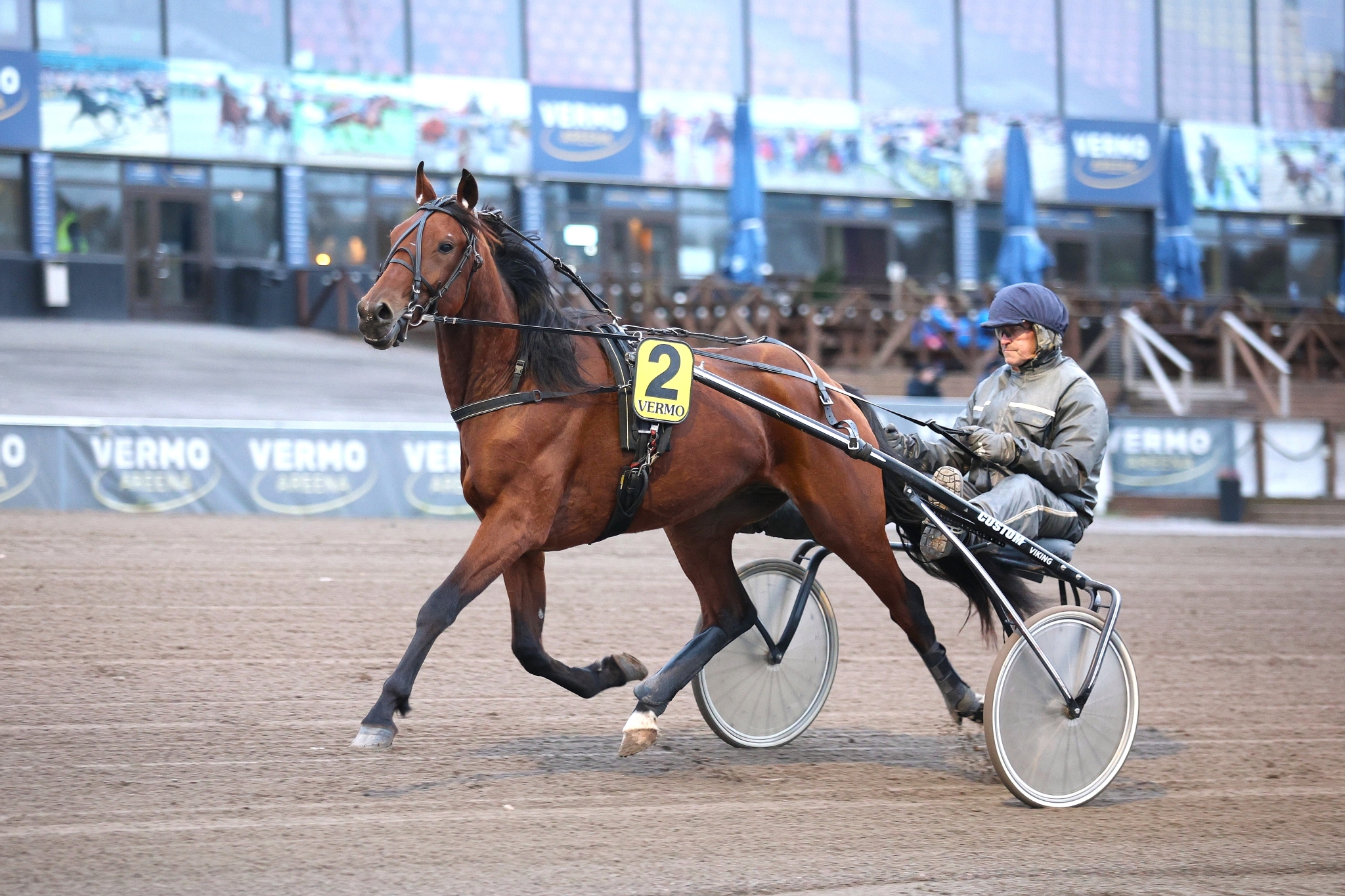 The Enigmalla on kahdesta startistaan totosijat plakkarissa. Olli Lähtinen ei näe syytä, miksei ruuna voisi ilman haavereita huipentaa kauttaan Kasvattajakruunun voitolla.