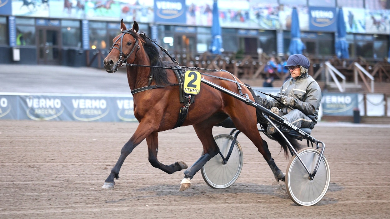 The Enigmalla on kahdesta startistaan totosijat plakkarissa. Olli Lähtinen ei näe syytä, miksei ruuna voisi ilman haavereita huipentaa kauttaan Kasvattajakruunun voitolla.