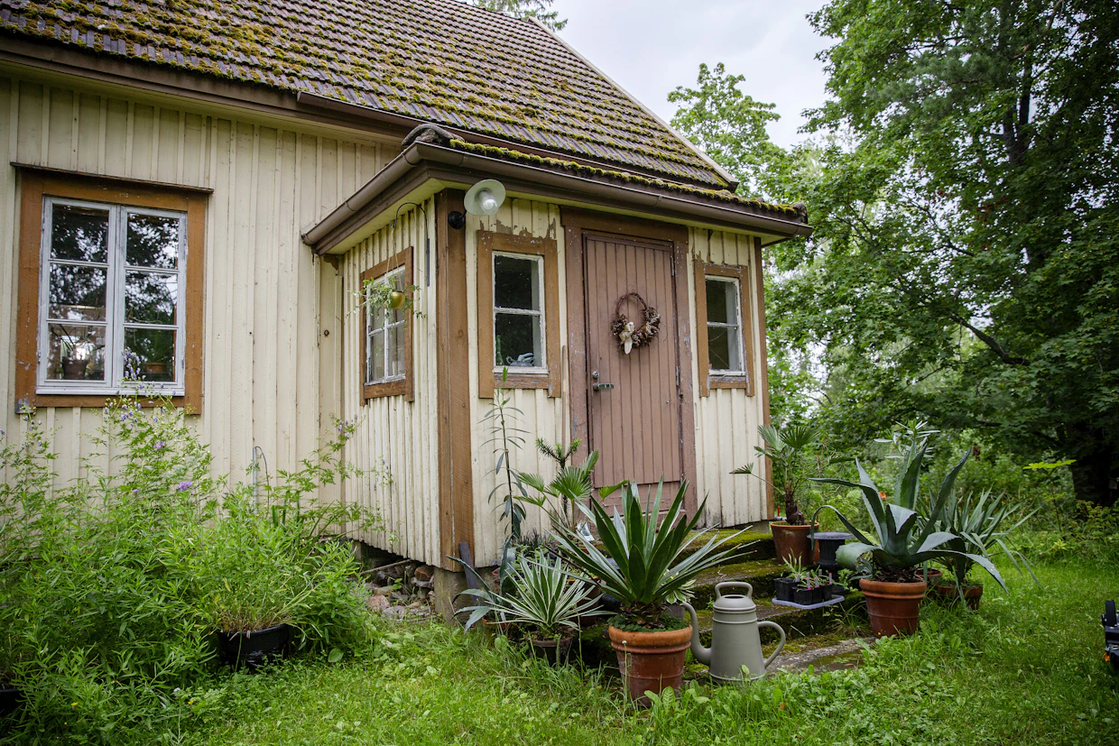 1920-luvulla rakennetusta talosta remontoidaan tulevaisuudessa kesämökki aikansa tyyliin. Nyt siellä viihtyvät lukuisat vanhat huonekasvit.