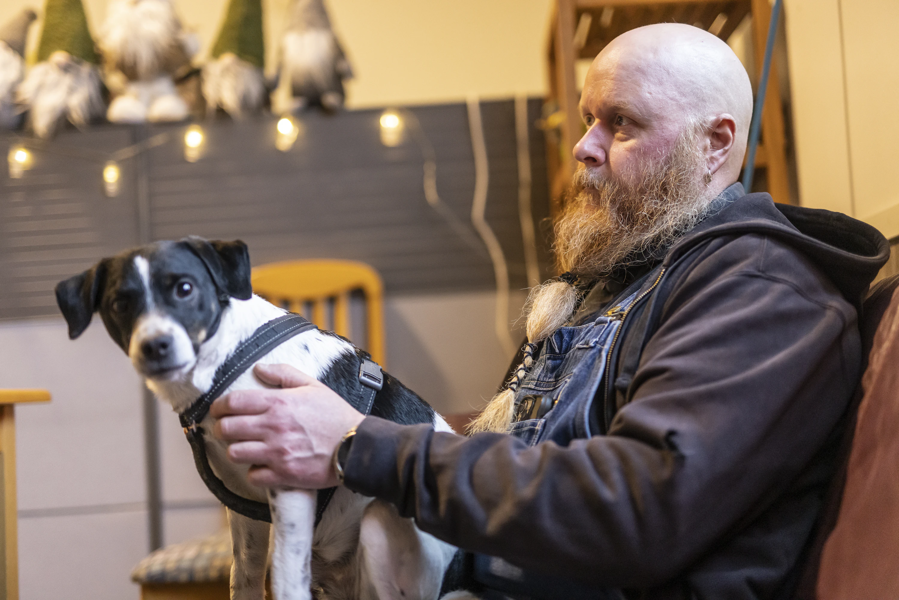 Lassi Kuorttinen vastaa kananpoikasten hoidosta. Hän toivoo, että EU peruu tulossa olevan 6-viikkoisten luomukanojen ulkoiluvaatimuksen. Sylissä Pete-koira.