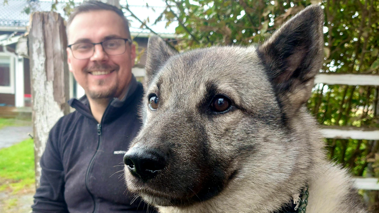 Pera on laajahakuinen ja itsenäinen riistanetsijä, kehuu Jari Hietaranta koiraansa.