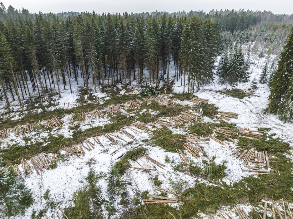 Suomessa metsiä katoaa erittäin vähän, mikä johtuu lähinnä rakentamisesta ja pellon raivauksesta.
