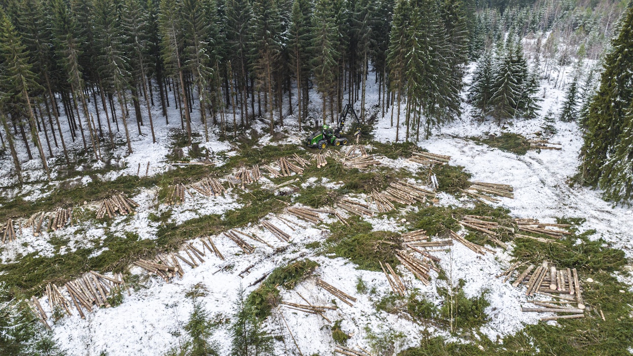 Suomessa metsiä katoaa erittäin vähän, mikä johtuu lähinnä rakentamisesta ja pellon raivauksesta.
