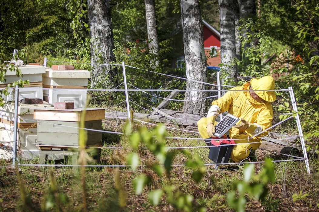 Sähköaita on todettu toimivaksi ja kustannustehokkaaksi mehiläistarhojen suojausmenetelmäksi.