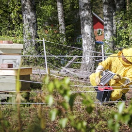 Sähköaita on todettu toimivaksi ja kustannustehokkaaksi mehiläistarhojen suojausmenetelmäksi.