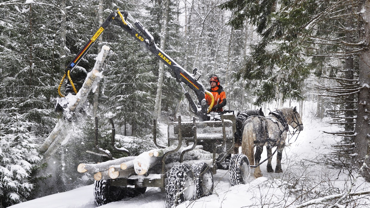 Miika Åfeltin työvaljakko on mieleenpainuva näky. Arkistokuva.