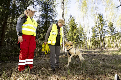 Leena Hakkarainen, Päivi Halonen ja pelastajakoira Jaska, viisivuotias labradorinnoutaja muodostavat tehokkaan tiimin.