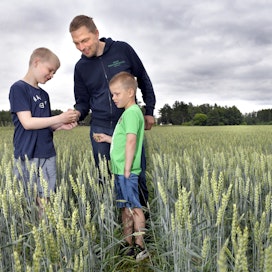Jussi Aikko tutkii poikiensa Emilin (vas.) ja Leon kanssa Rauman Vasaraisilla kukintavaiheessa olevaa vehnäpeltoa. Sekä isä että pojat ovat tyytyväisiä toteutuneeseen kasvuun.