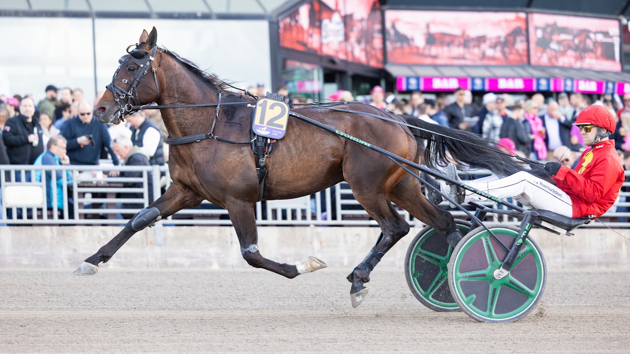 Jobspost oli Rättvikin hopeadivisioonan paras.