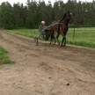 Riku Lehtonen ja Milliondollarbaby treenilenkillä kotitallilla.
