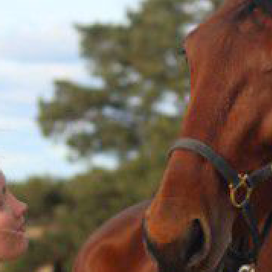 Mira Lahtisen mukaan Gourmet Brodde on todella mukavaluonteinen hevonen, jolta löytyy tarvittaessa myös temperamenttia.