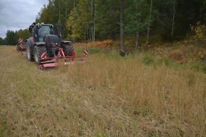 Horsch Cultro 3 TC:tä kokeiltiin puimatta jääneessä metsän varjoisassa reunassa, jonka valtion karja oli tallannut ja syönyt tyhjäksi. Kuvan kohde oli tuollaisena hankala käsitellä, mutta Cultron jäljiltä muokkaaminen oli mahdollista. 