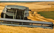 84Gleaner