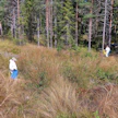 Raatojen etsintä ei sovi huonokuntoisille.