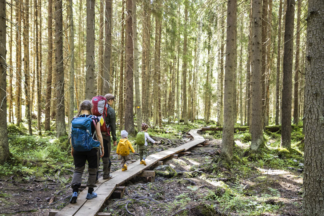 Luonnon mikrobit parantavat ihmisen vastustuskykyä ja ovat yhteydessä muun muassa allergioiden puhkeamiseen.