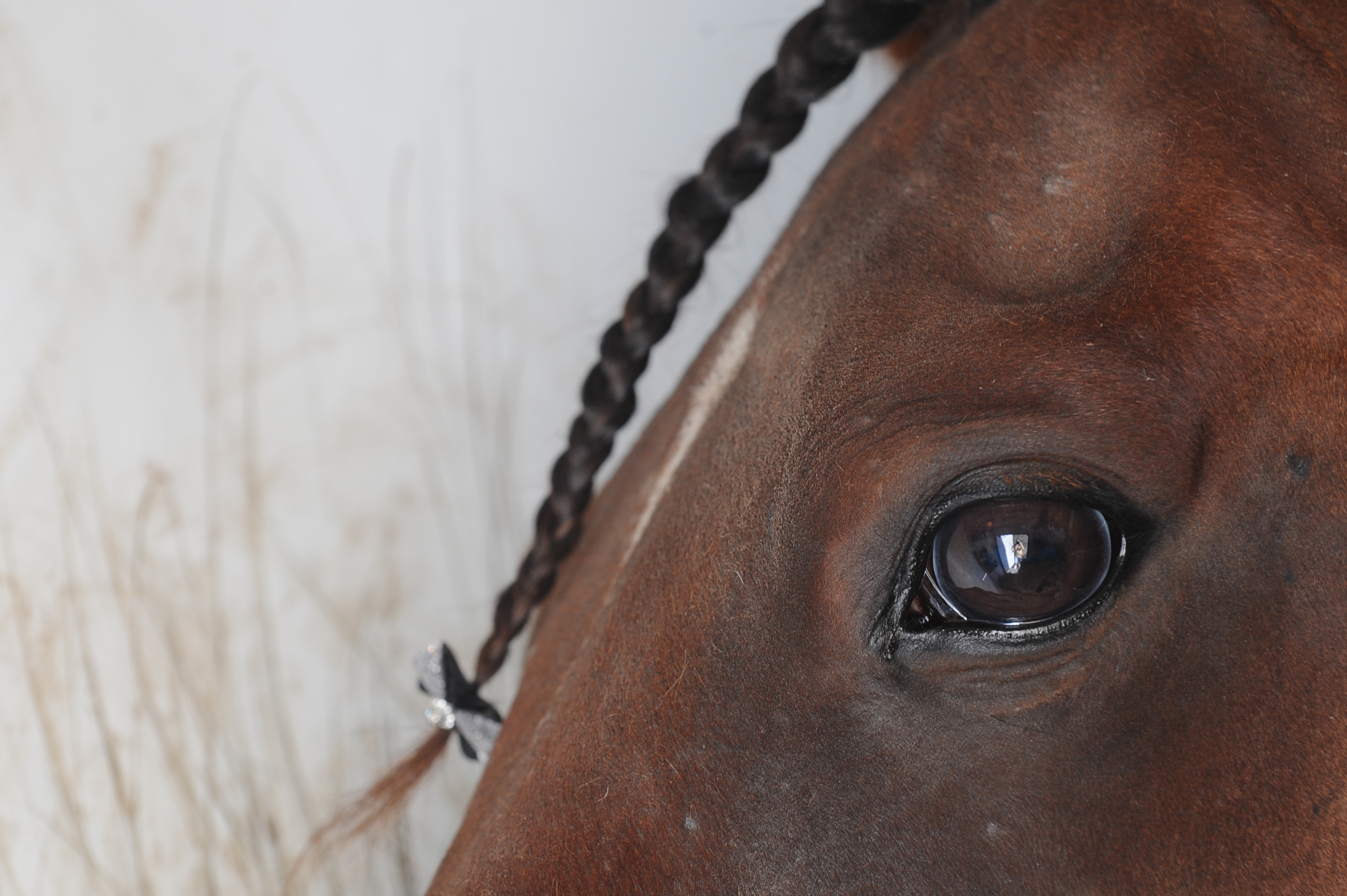 Olosuhteet ovat talven mittaan ja Suomen eri kolkissa olleet hyvin monenlaisia. Viikonloppu oli ravijärjestämisessä taas valitettavan tilanteikas. Kuvituskuva.