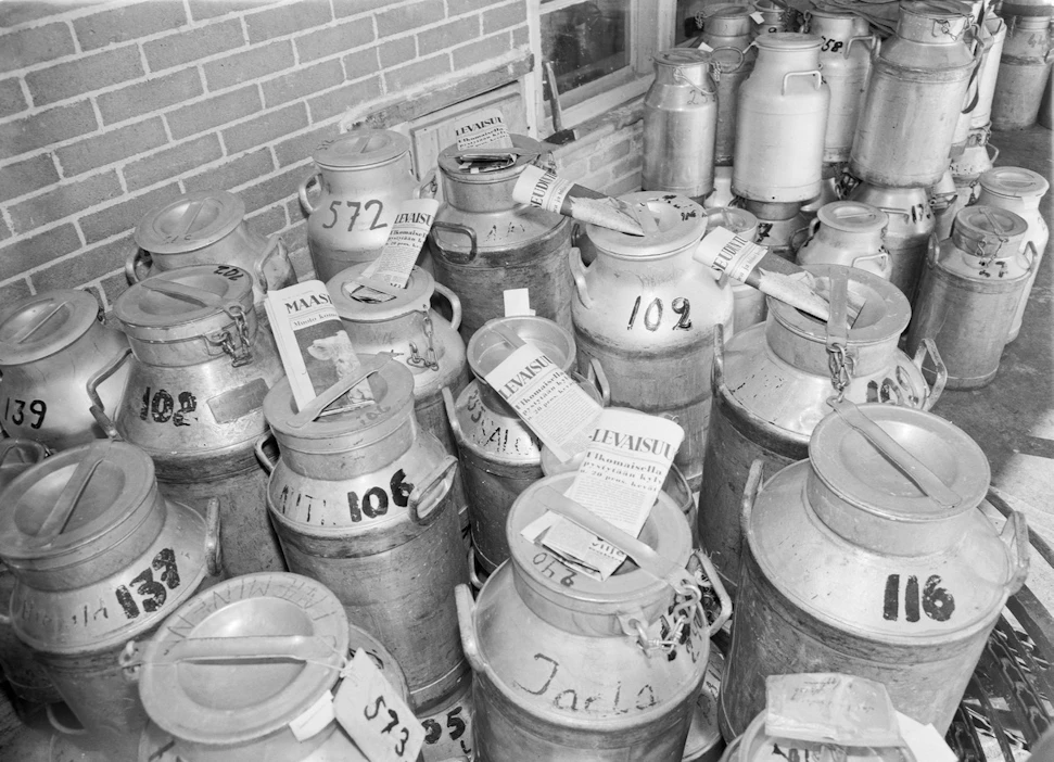 Maito on noussut välillä myös lehdistön pelastajaksi: Sanomalehteä jaettiin postin vuoden 1963 lakon aikana tilaajille osuusmeijerien välityksellä laittamalla se maidontoimittajalle palautettavan maitotonkan mukaan.