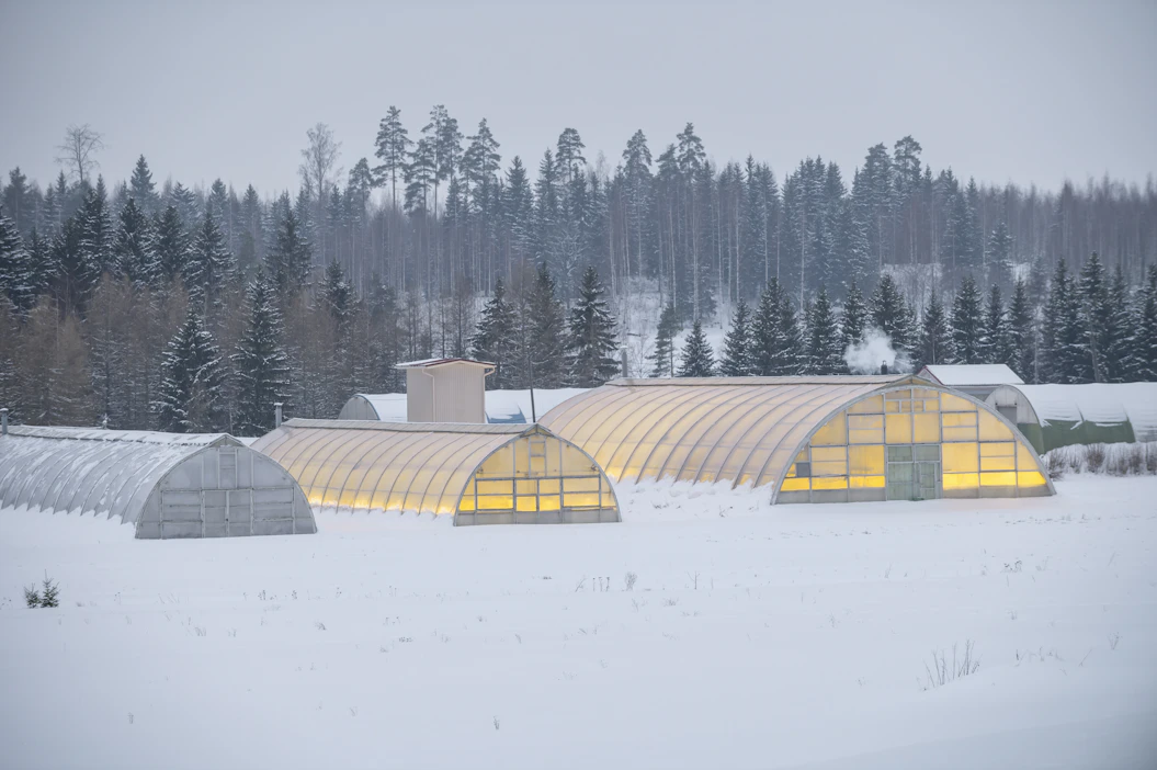 Kauppapuutarhaliiton toiminnanjohtajan sijainen Lassi Remes pitää S-ryhmän ensimmäistä viestiä yksipuolisena saneluna ja uutta neuvottelutarjousta näennäisenä.