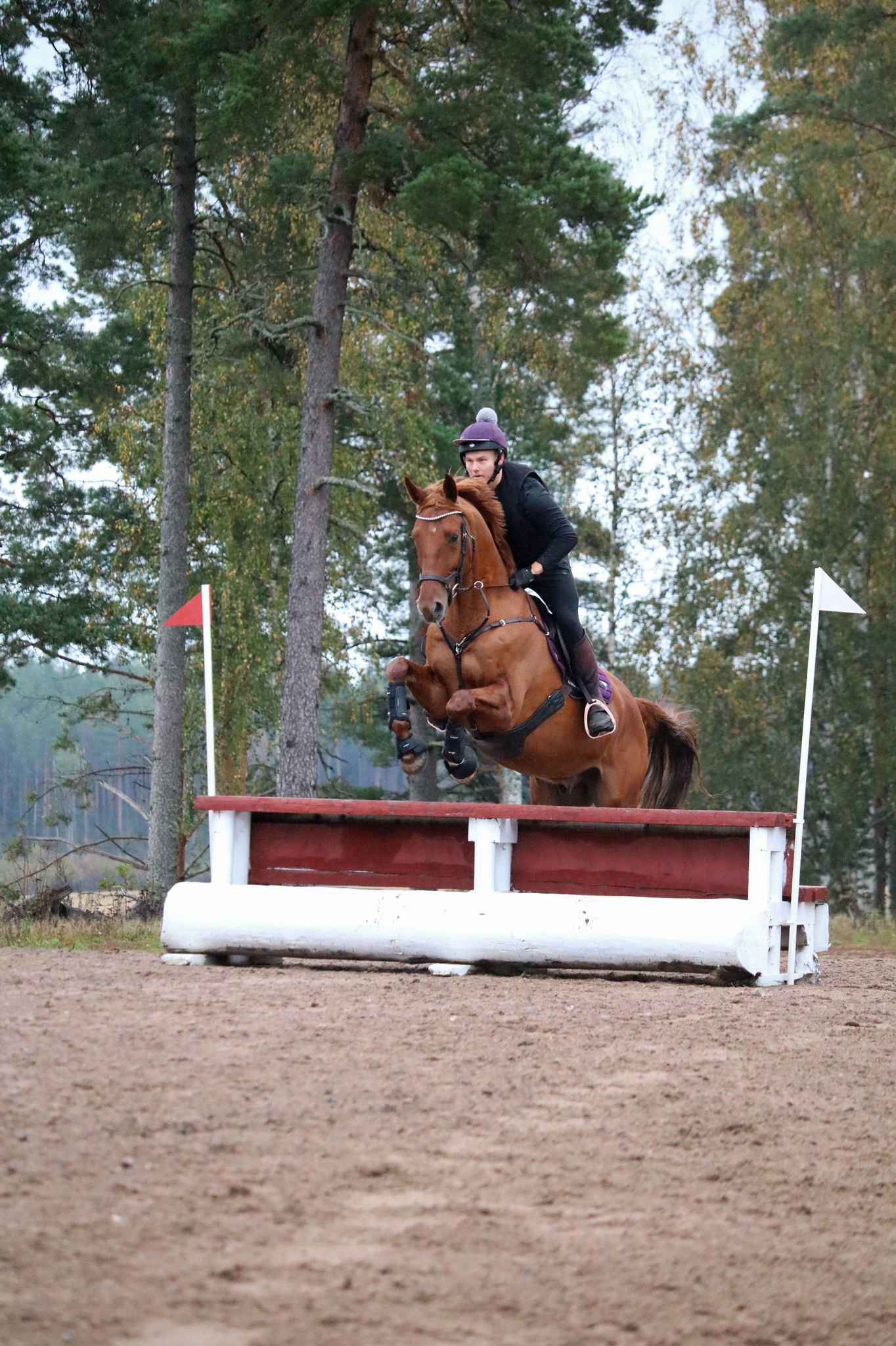 Arvi Martikainen ja Pin Rock's Brewington aloittivat toisen yhteisen kautensa metrin luokassa Ypäjällä.