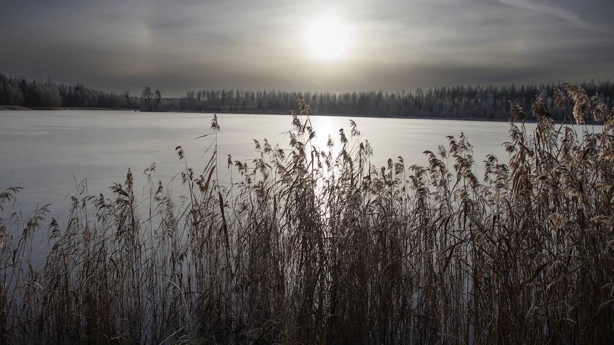 Savonlinnan ja Enonkosken rajalla sijaitseva Särkijärvi on esimerkki kaivostoiminnan vaikutuksista vesistöihin. Särkijärvi on niin hapan, että sen kalakanta on kuollut. Kuvituskuva.