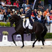 Henri Ruoste ja Tiffanys Diamond torstaina Grand Prix -radalla.